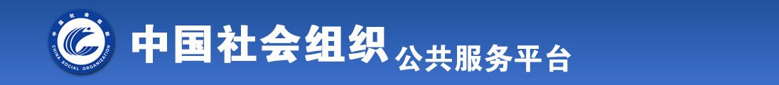 插我逼视频高清全国社会组织信息查询